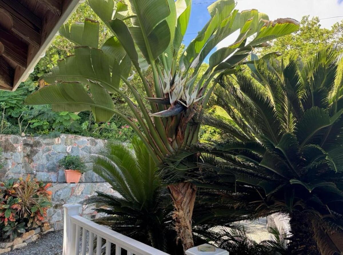 Blue Pearl Villa In St John Usvi Coral Bay Экстерьер фото
