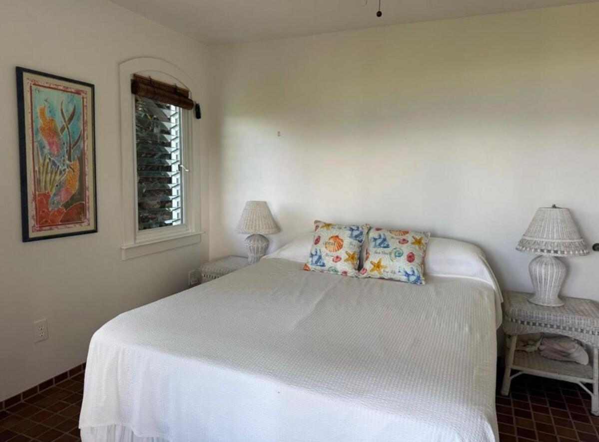 Blue Pearl Villa In St John Usvi Coral Bay Экстерьер фото